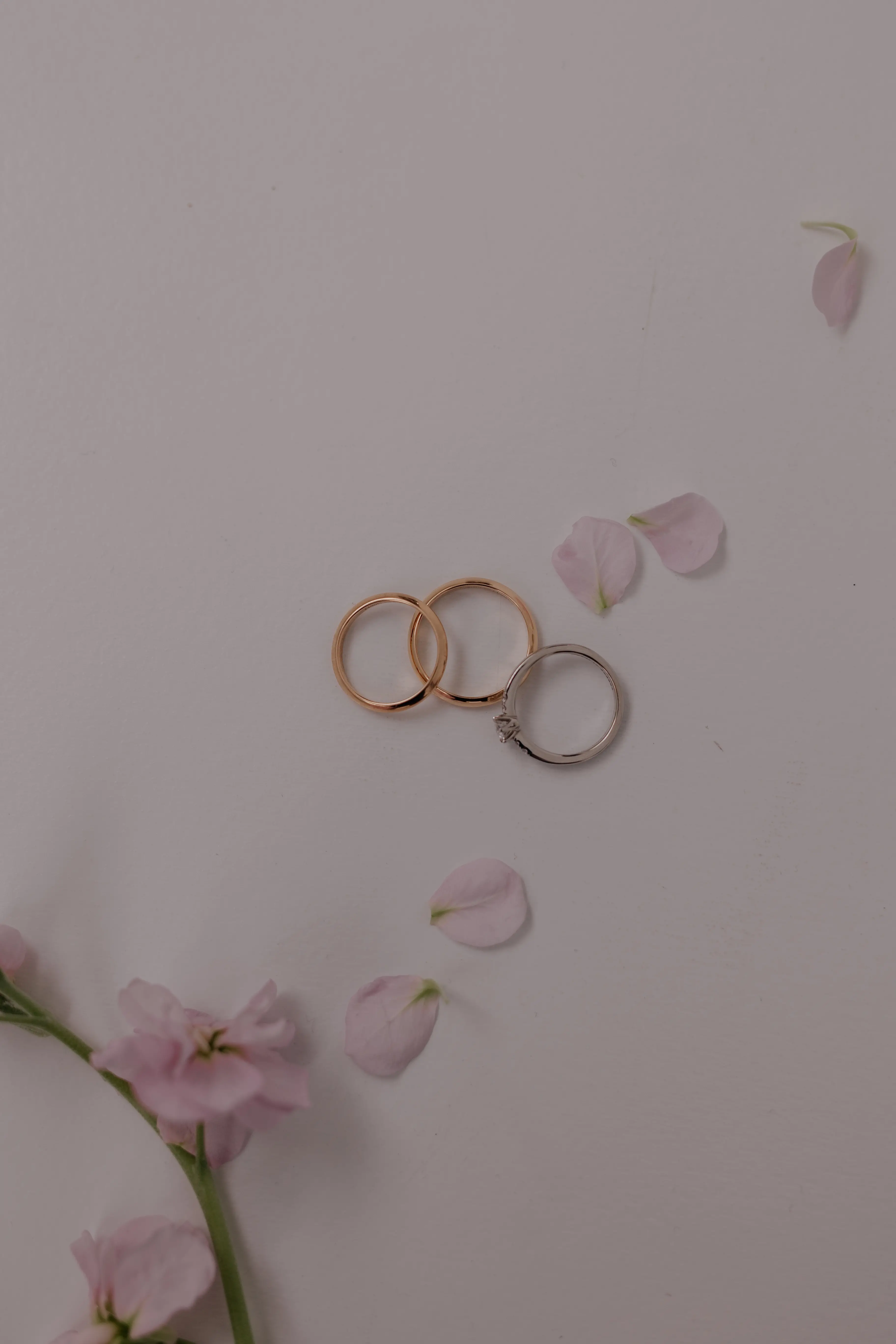 ゴールドとシルバーの結婚指輪3本とピンクの花びらの写真